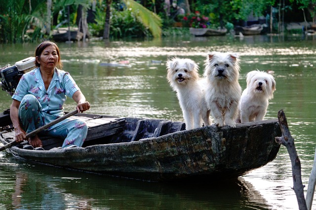 Life Along the Amazon River: A Unique Lifestyle Rooted in Nature